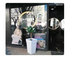 Concept Coiffure