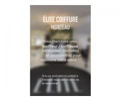 Recherche coiffeur/coiffeuse